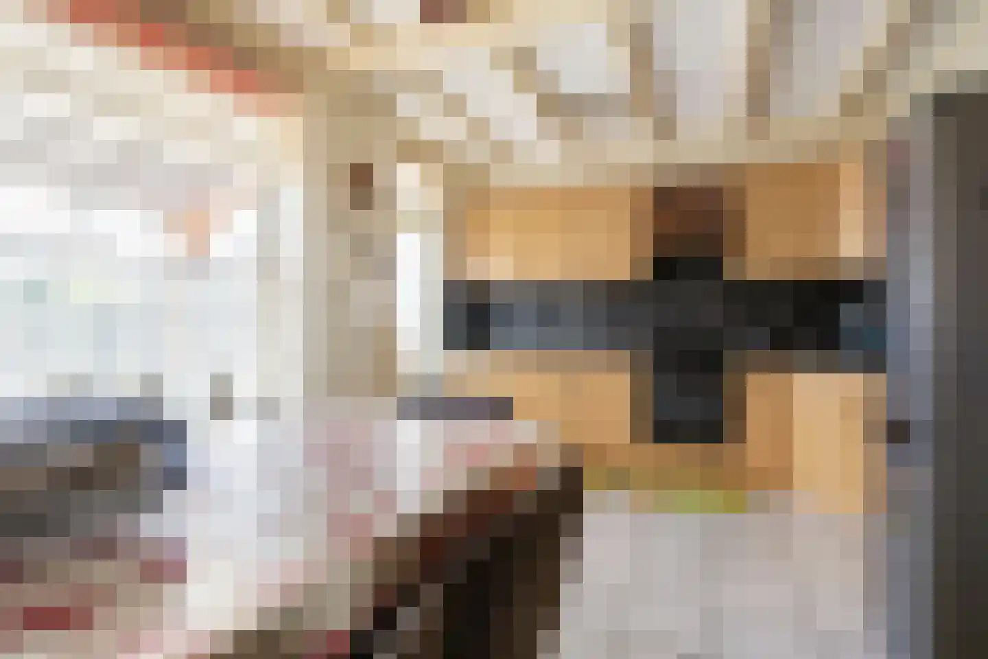 Torenvalk 14 Veenendaal thumbnail 9