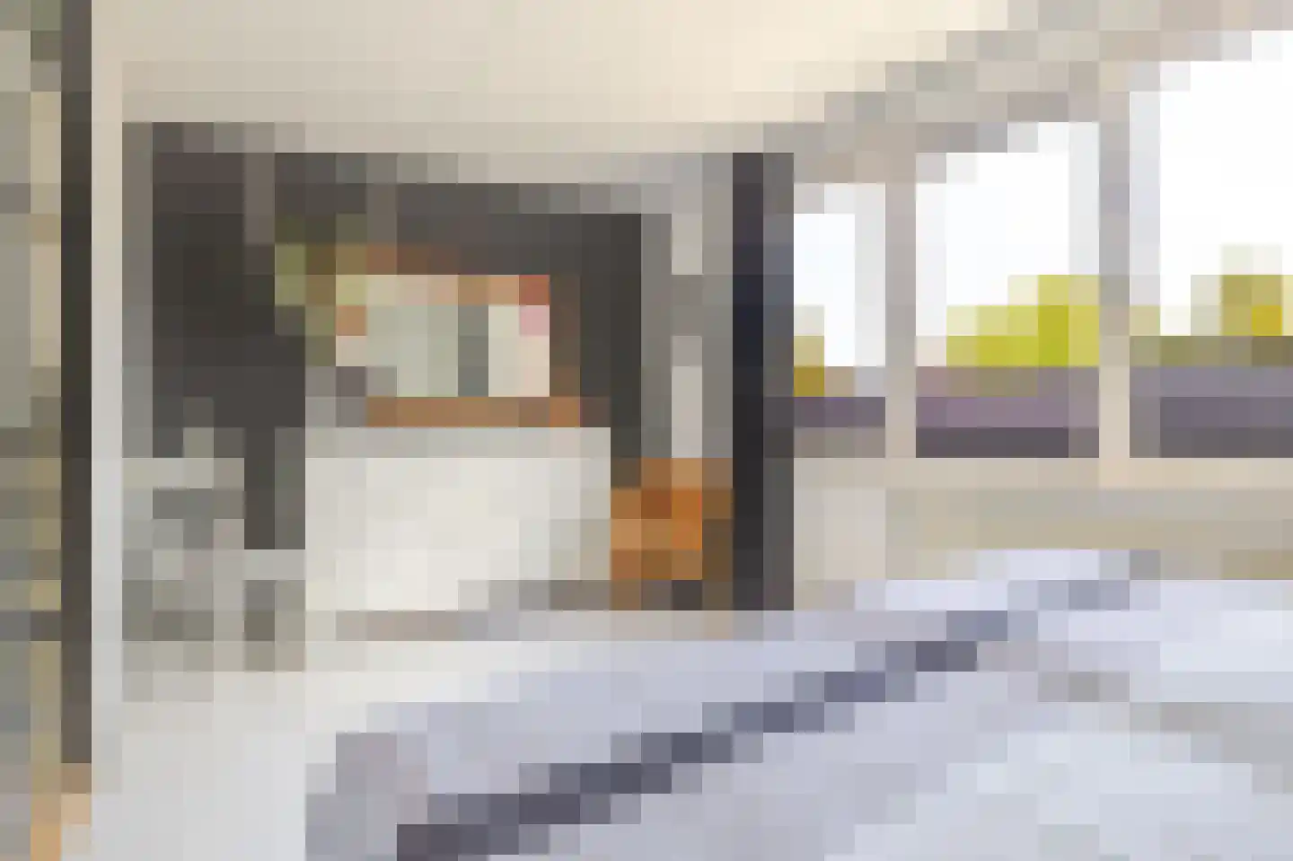 Torenvalk 142 Emmen thumbnail 24
