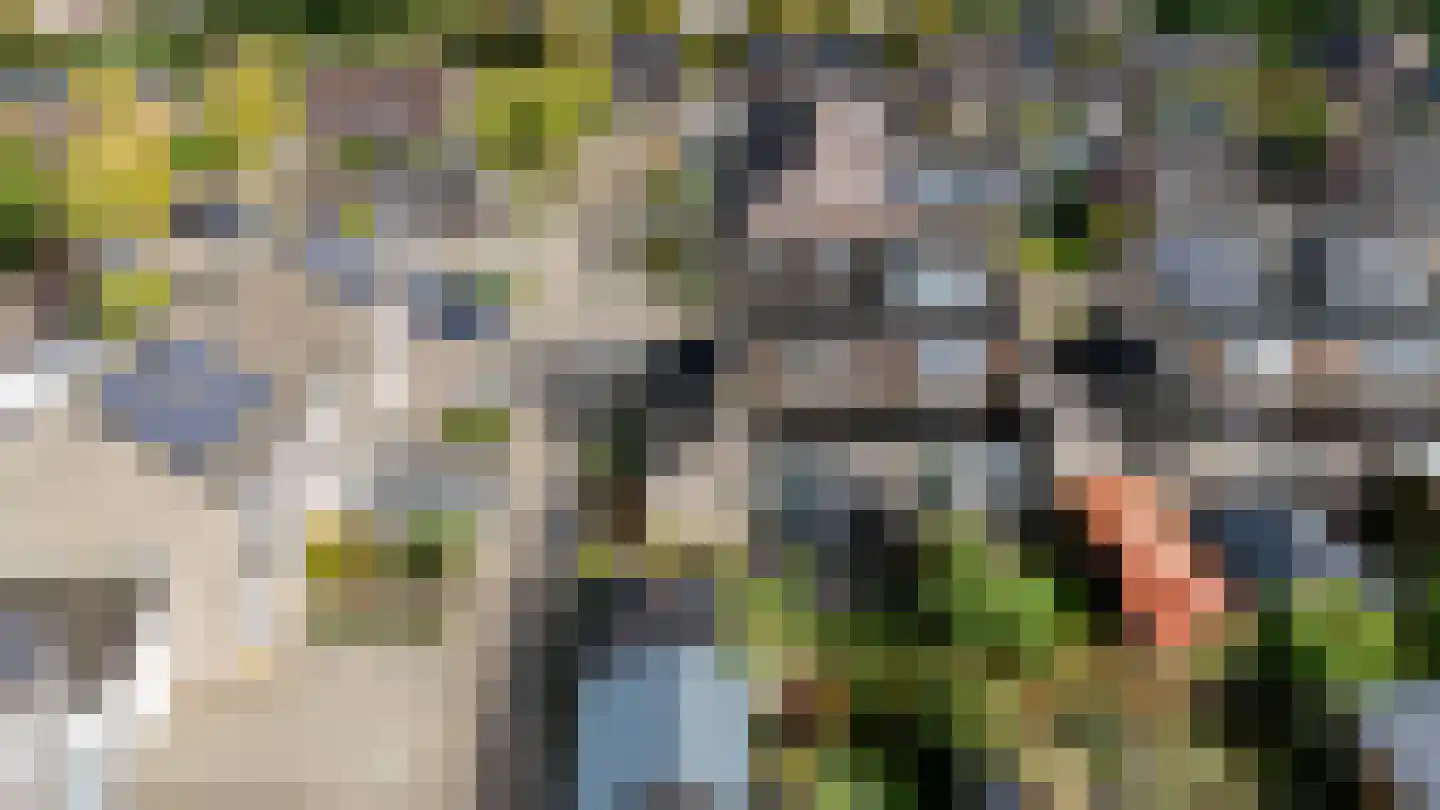 Torenvalk 142 Emmen thumbnail 37