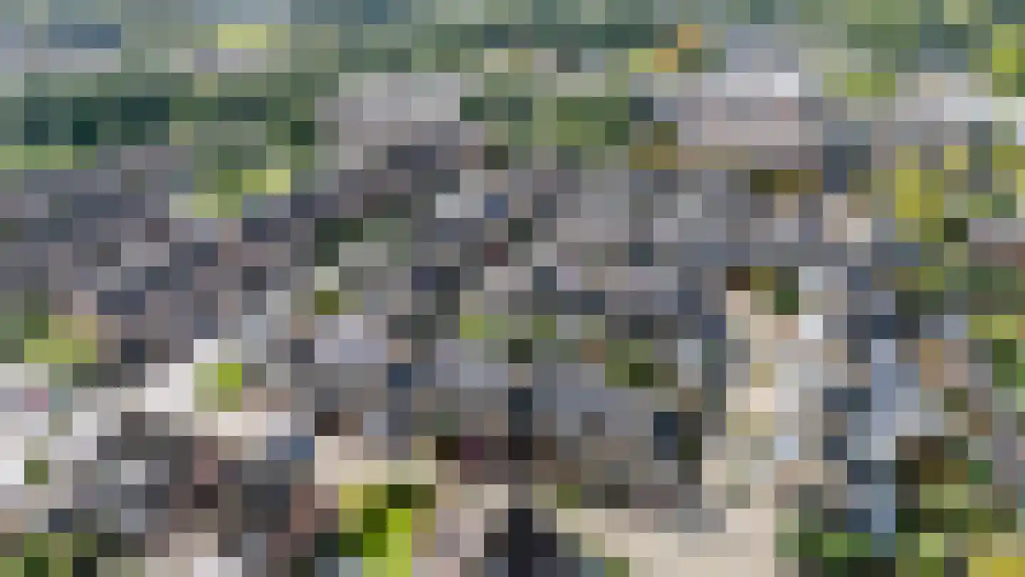 Torenvalk 142 Emmen thumbnail 38