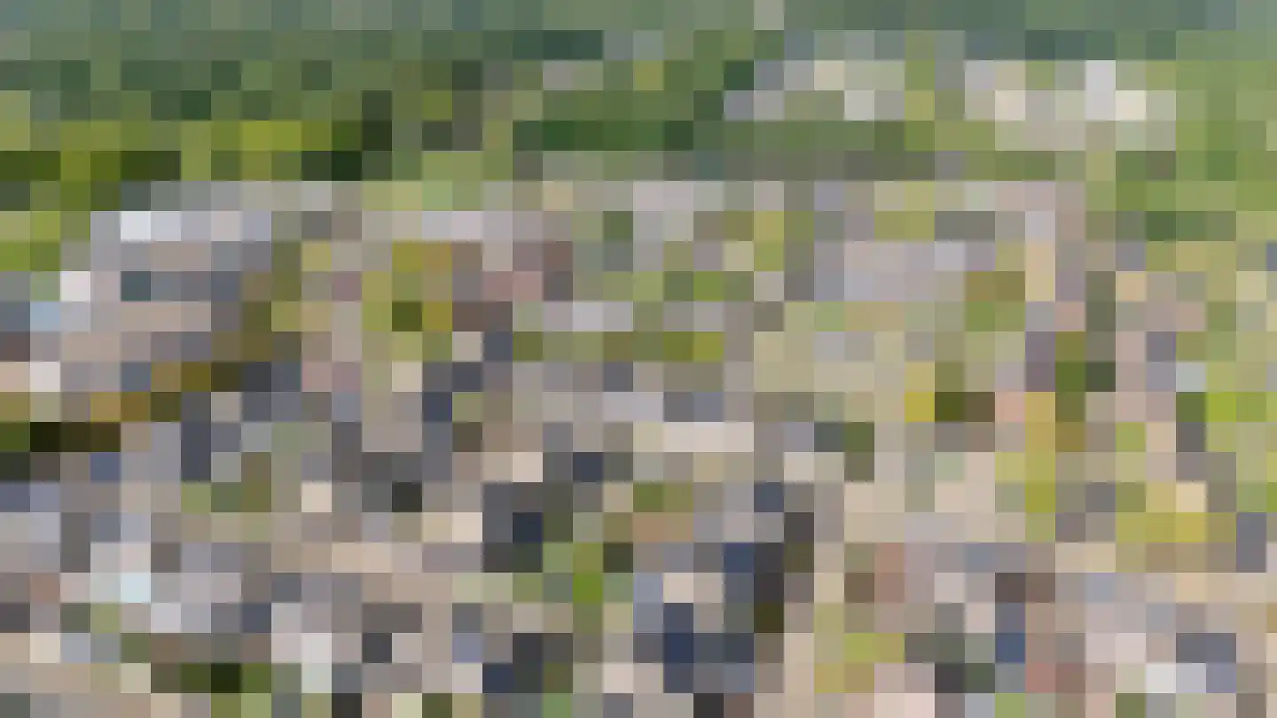 Torenvalk 142 Emmen thumbnail 39