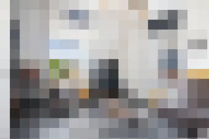 Torenvalk 149 B Etten-Leur thumbnail 6