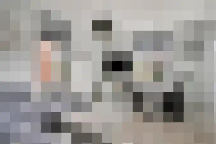 Torenvalk 151 A Etten-Leur thumbnail 12