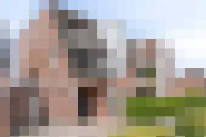 Torenvalk 151 A Etten-Leur thumbnail 6