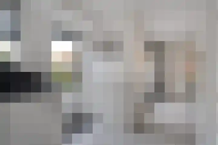 Torenvalk 21 Meppel thumbnail 10