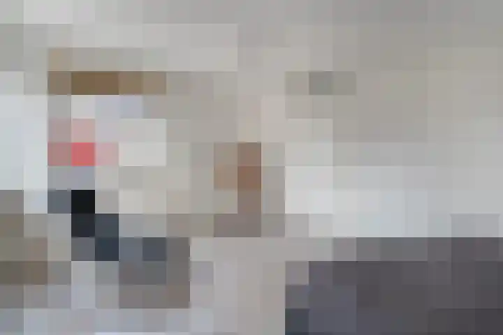 Torenvalk 21 Meppel thumbnail 18
