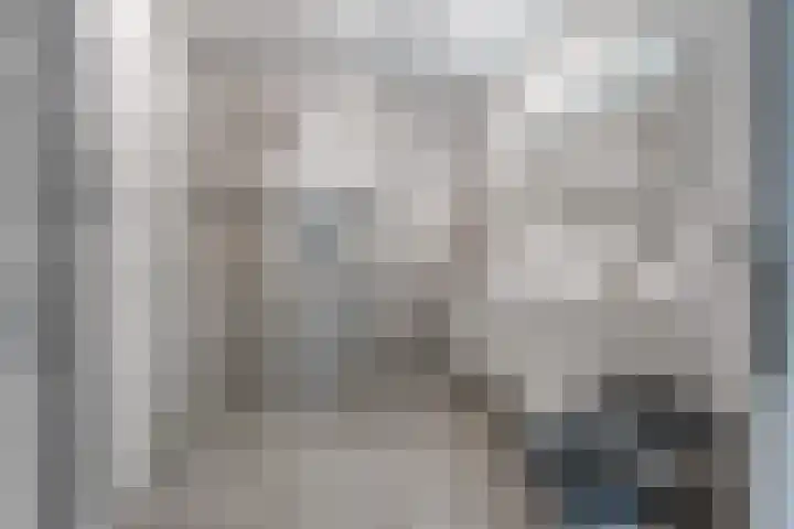 Torenvalk 21 Meppel thumbnail 25