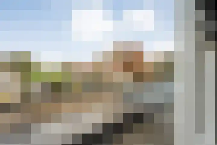 Torenvalk 21 Meppel thumbnail 29