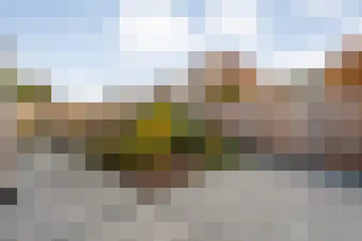 Torenvalk 21 Meppel thumbnail 30