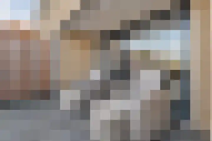Torenvalk 21 Meppel thumbnail 31