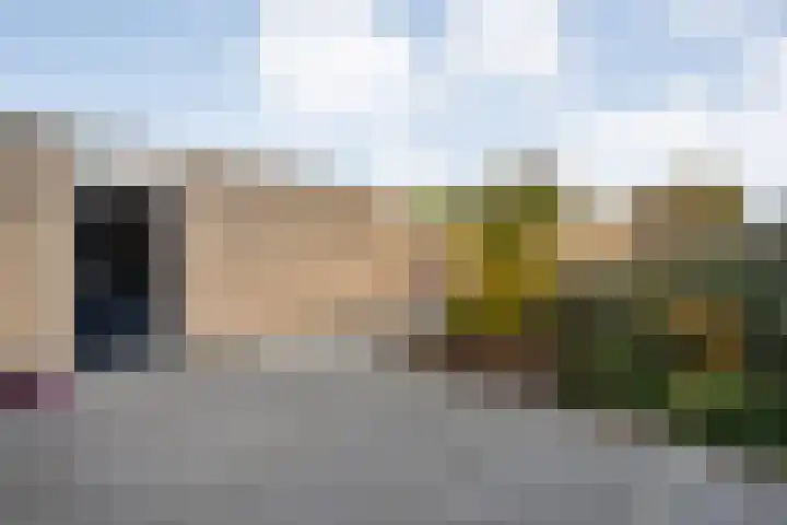 Torenvalk 21 Meppel thumbnail 32