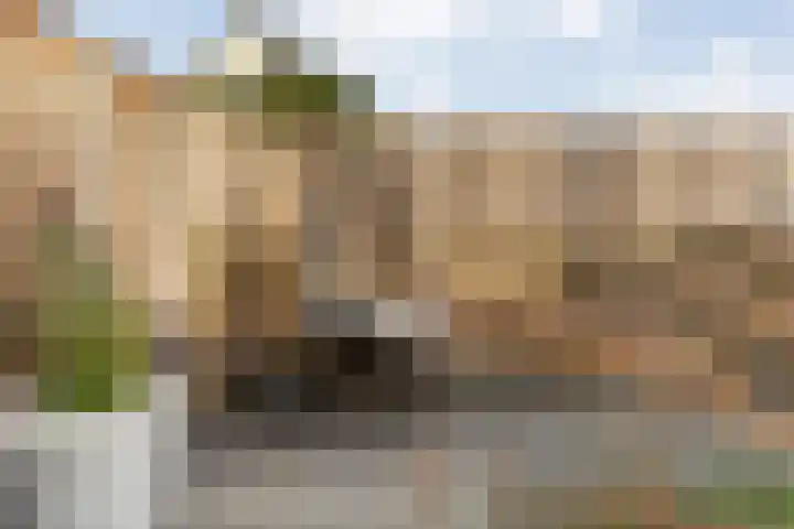 Torenvalk 21 Meppel thumbnail 33