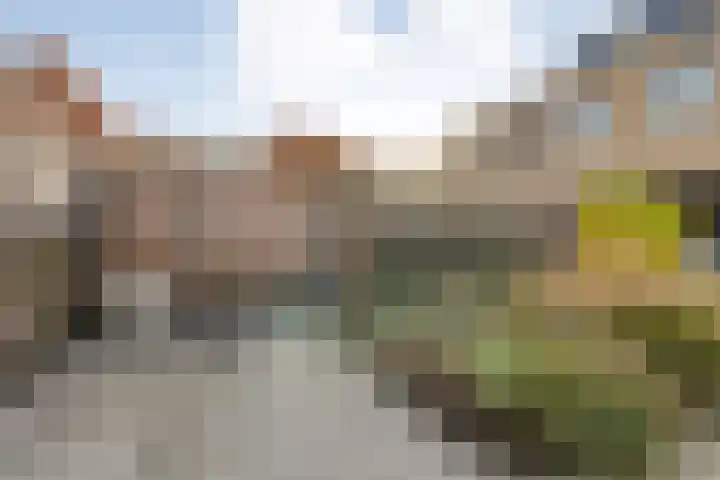 Torenvalk 21 Meppel thumbnail 34