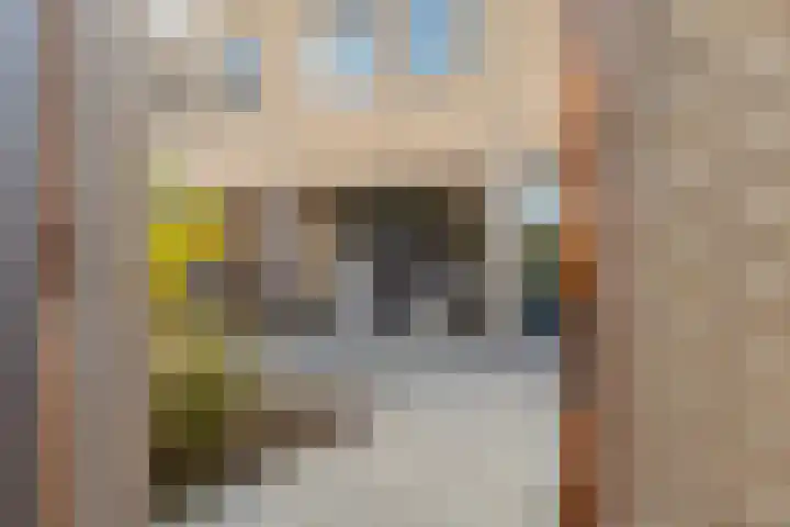 Torenvalk 21 Meppel thumbnail 35