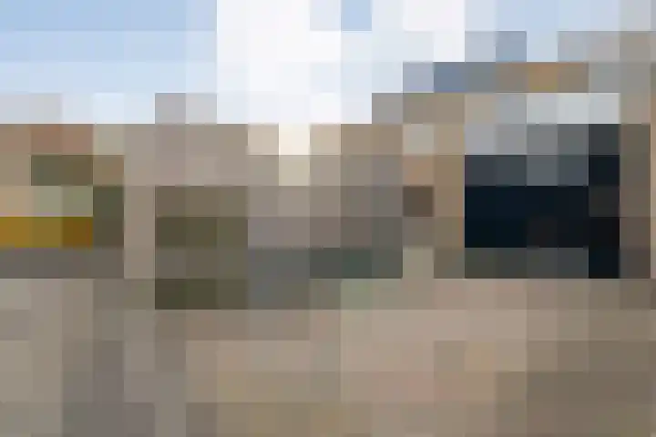 Torenvalk 21 Meppel thumbnail 36