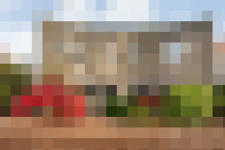 Torenvalk 21 Meppel thumbnail 37