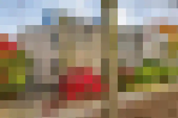 Torenvalk 21 Meppel thumbnail 38