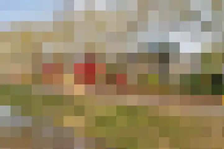 Torenvalk 21 Meppel thumbnail 39