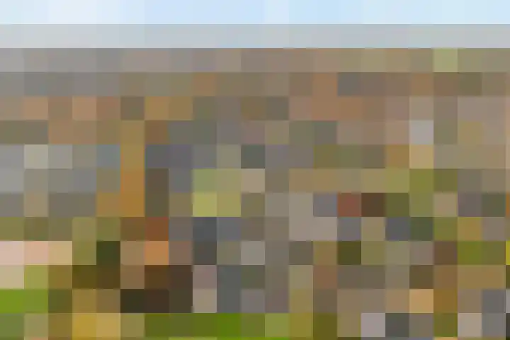 Torenvalk 21 Meppel thumbnail 4
