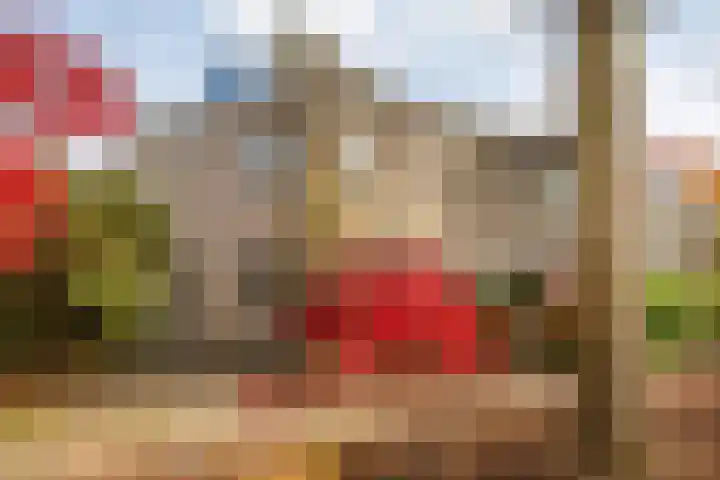 Torenvalk 21 Meppel thumbnail 42