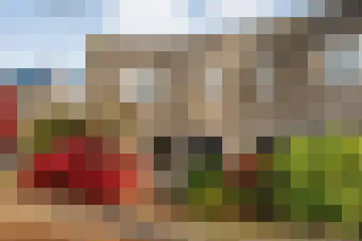 Torenvalk 21 Meppel thumbnail 43