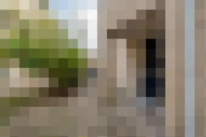 Torenvalk 21 Meppel thumbnail 46