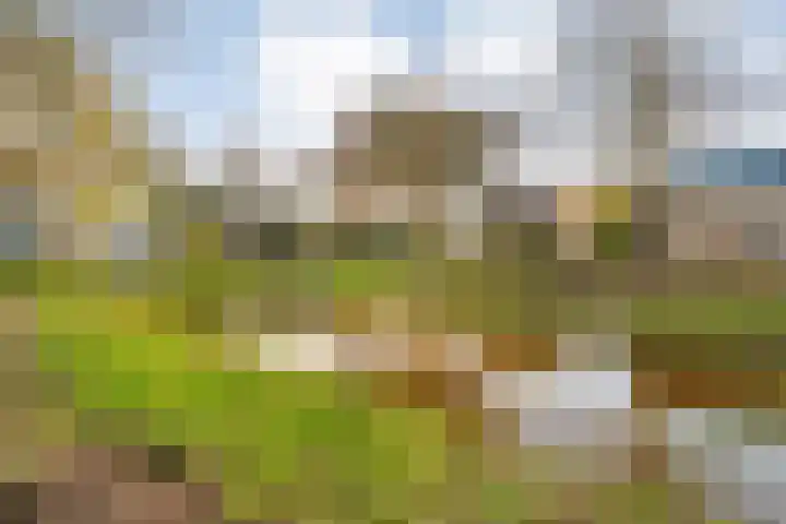 Torenvalk 21 Meppel thumbnail 47