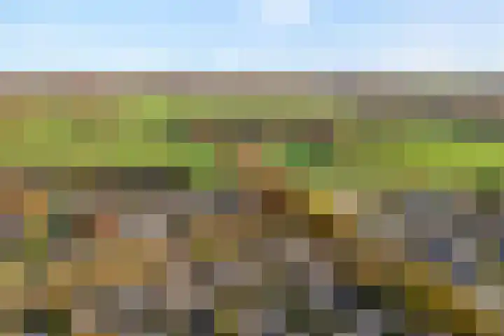 Torenvalk 21 Meppel thumbnail 48