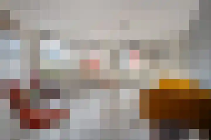 Torenvalk 21 Meppel thumbnail 5