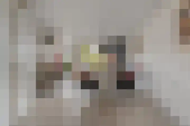 Torenvalk 21 Meppel thumbnail 6
