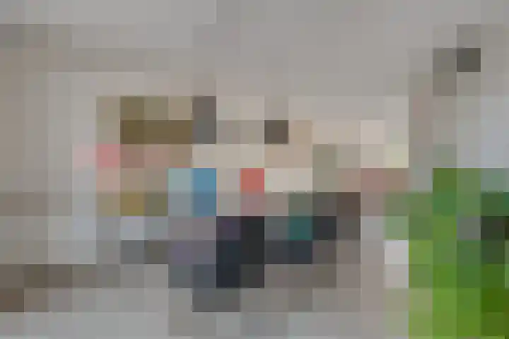 Torenvalk 21 Meppel thumbnail 7