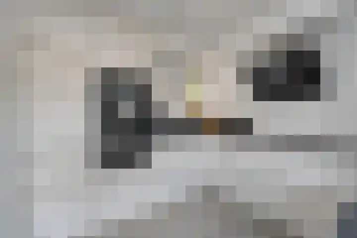 Torenvalk 21 Meppel thumbnail 9