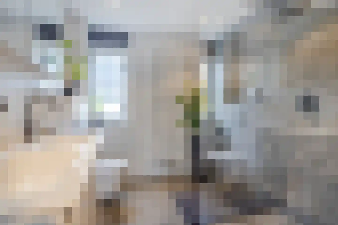Torenvalk 22 Goirle thumbnail 23