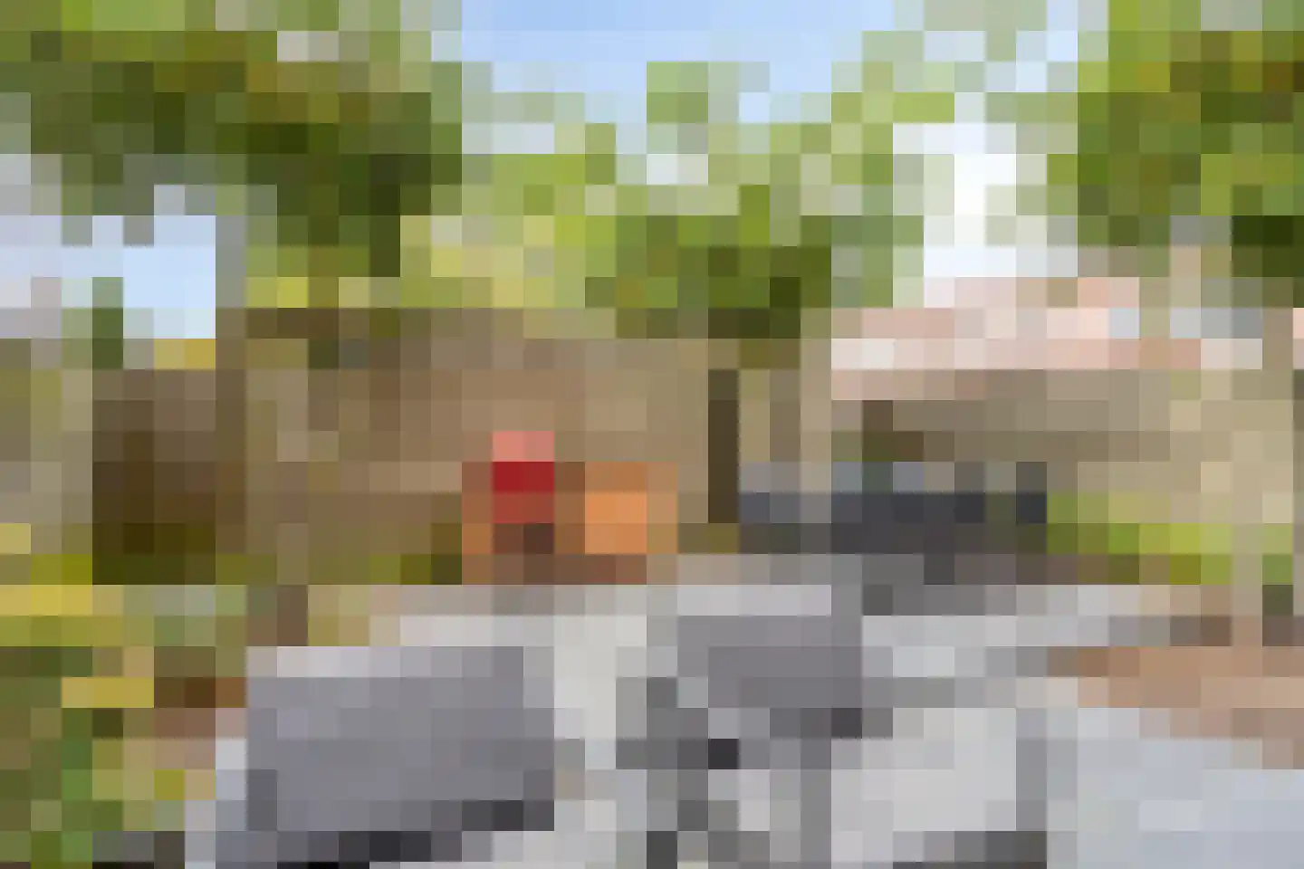 Torenvalk 22 Goirle thumbnail 26