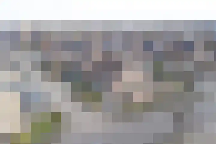 Torenvalk 24 Emmen thumbnail 4