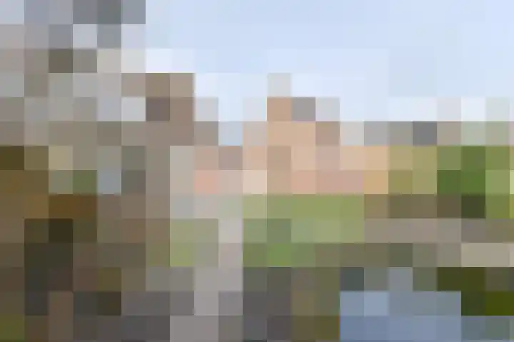 Torenvalk 24 Emmen thumbnail 51