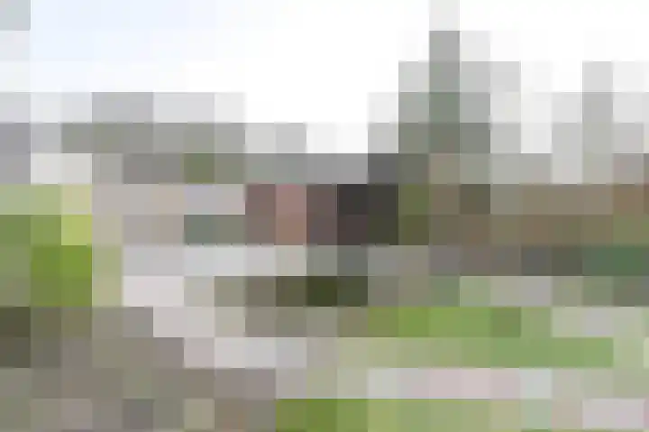 Torenvalk 24 Emmen thumbnail 53