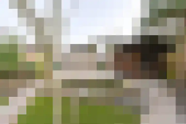 Torenvalk 24 Emmen thumbnail 54