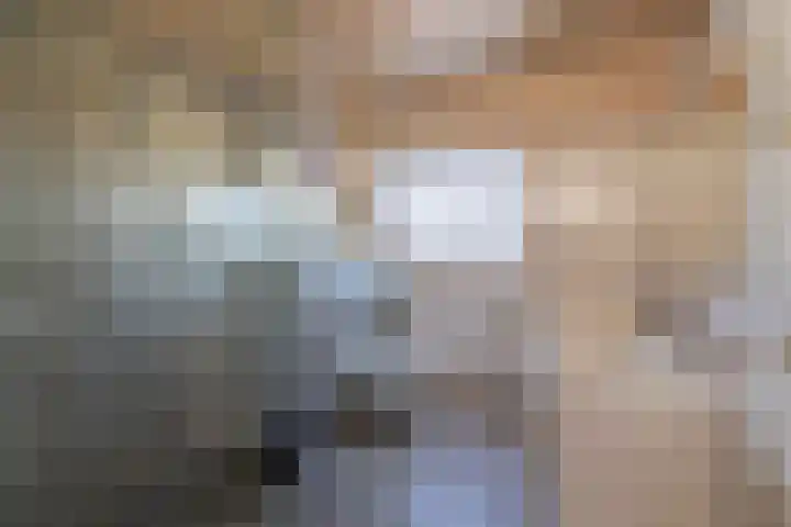 Torenvalk 24 Veenendaal thumbnail 20