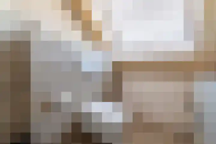Torenvalk 24 Veenendaal thumbnail 21