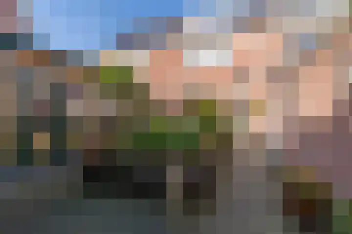 Torenvalk 24 Veenendaal thumbnail 30