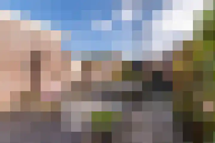 Torenvalk 24 Veenendaal thumbnail 32