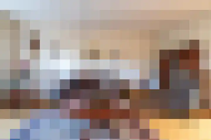 Torenvalk 24 Veenendaal thumbnail 8
