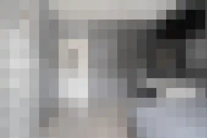 Torenvalk 26 Raalte thumbnail 33