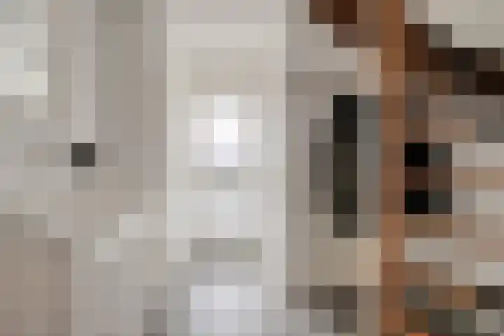 Torenvalk 26 Raalte thumbnail 6