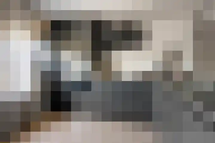 Torenvalk 27 Emmen thumbnail 17