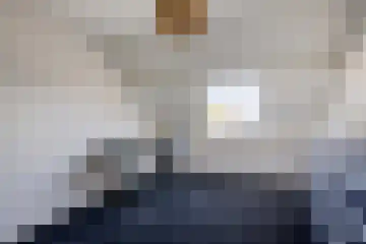 Torenvalk 27 Emmen thumbnail 25
