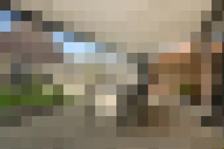 Torenvalk 27 Emmen thumbnail 35