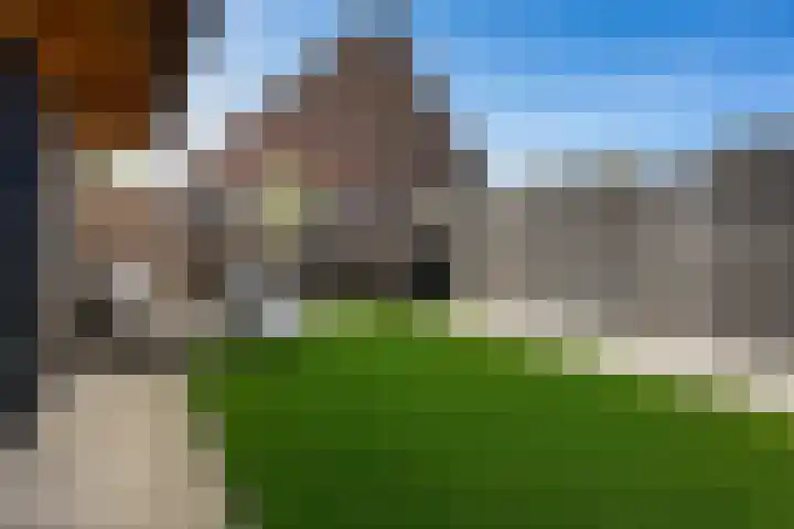 Torenvalk 27 Emmen thumbnail 36