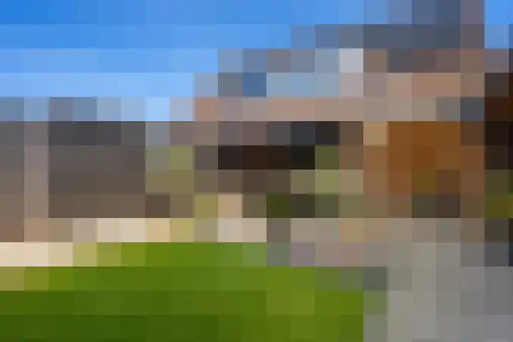 Torenvalk 27 Emmen thumbnail 38